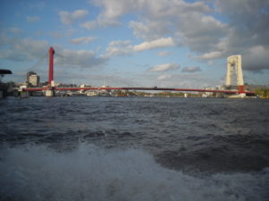 erasmusbrug rotterdam