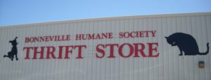 (AmE) humane society & thrift store